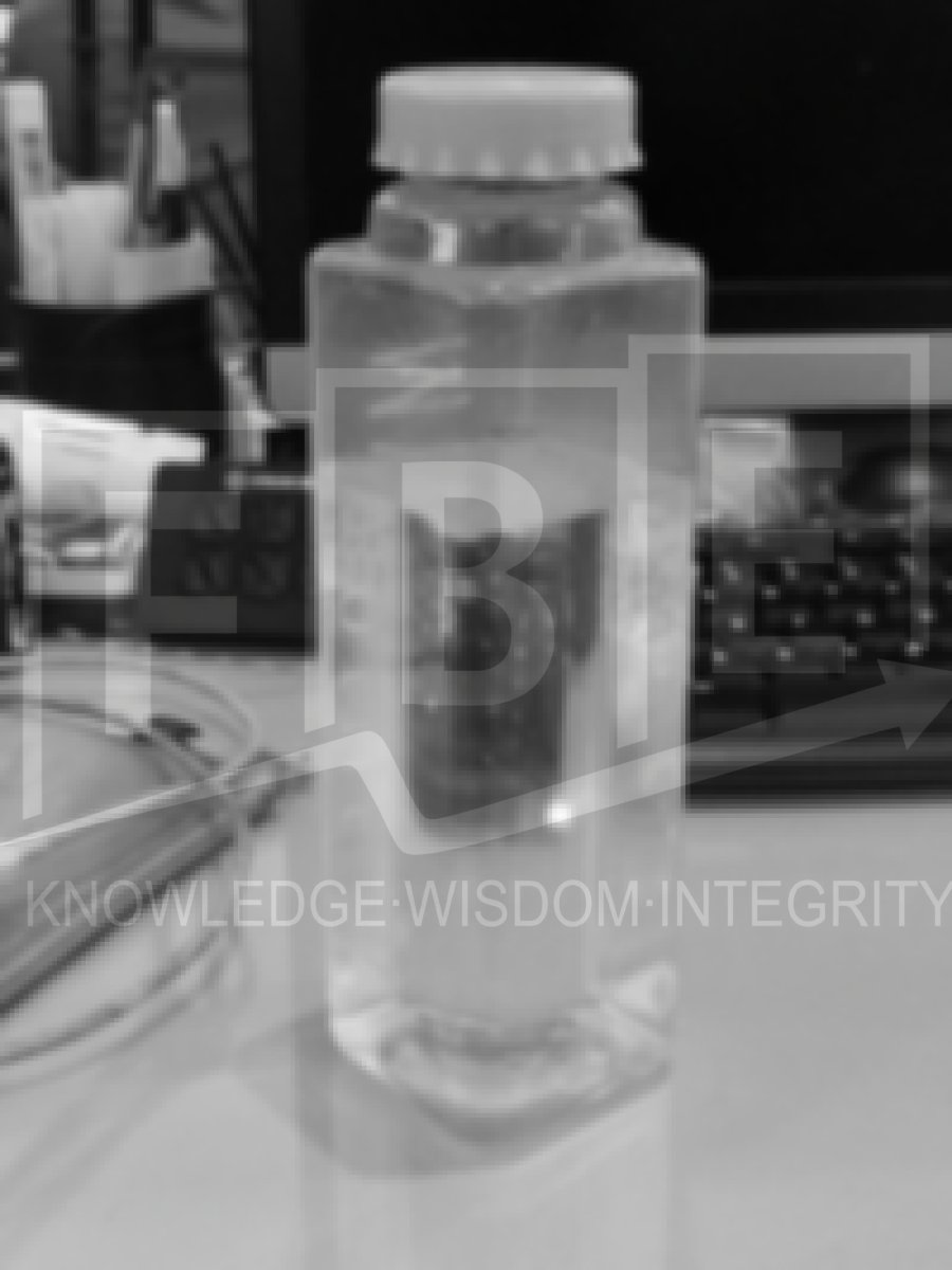 Tumbler / Botol Minum