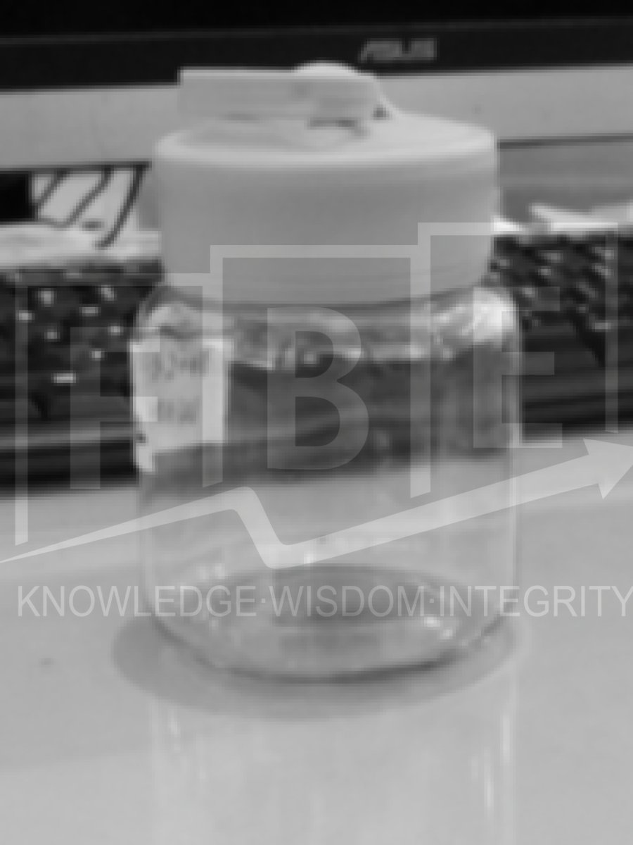 Preview barang untuk verifikasi