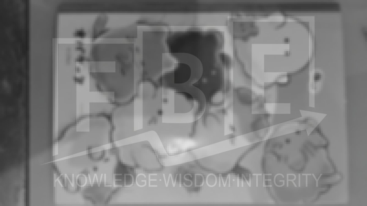 Preview barang untuk verifikasi